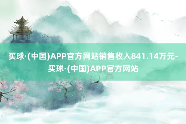 买球·(中国)APP官方网站销售收入841.14万元-买球·(中国)APP官方网站