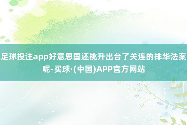 足球投注app好意思国还挑升出台了关连的排华法案呢-买球·(中国)APP官方网站