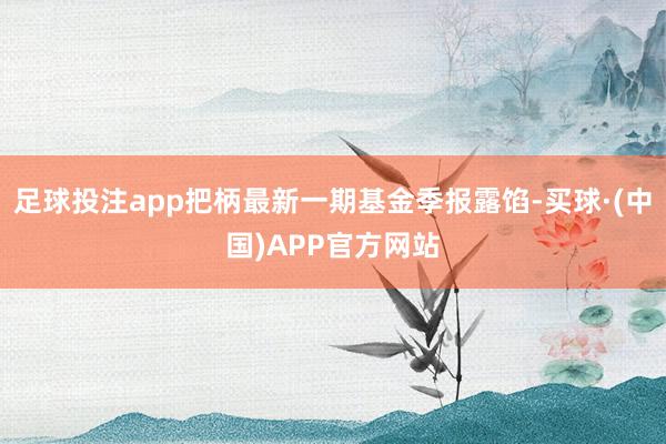 足球投注app把柄最新一期基金季报露馅-买球·(中国)APP官方网站