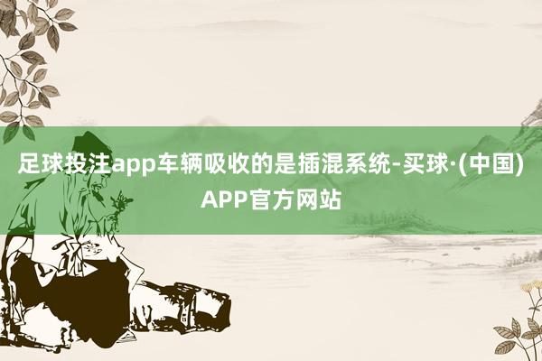 足球投注app车辆吸收的是插混系统-买球·(中国)APP官方网站