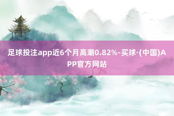 足球投注app近6个月高潮0.82%-买球·(中国)APP官方网站