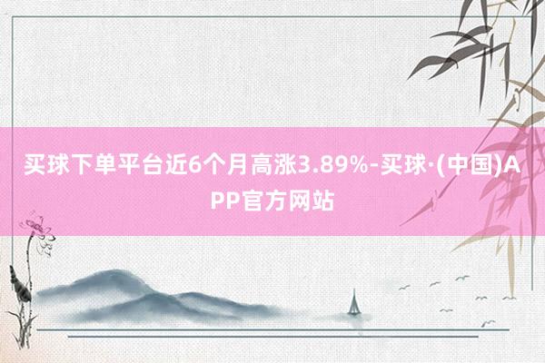 买球下单平台近6个月高涨3.89%-买球·(中国)APP官方网站