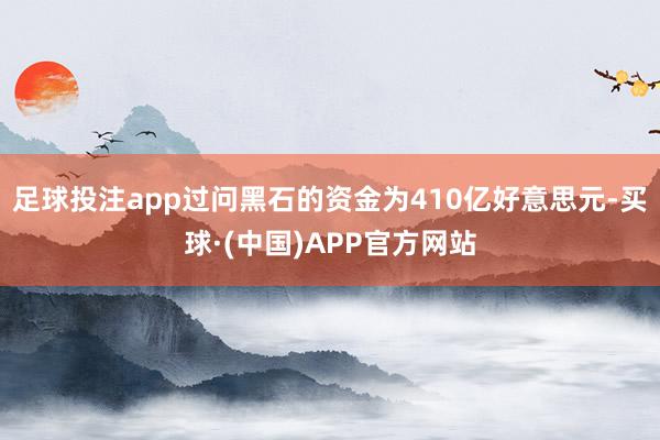 足球投注app过问黑石的资金为410亿好意思元-买球·(中国)APP官方网站