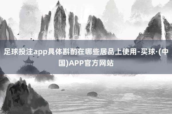 足球投注app具体斟酌在哪些居品上使用-买球·(中国)APP官方网站