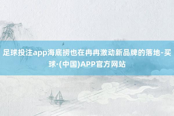 足球投注app海底捞也在冉冉激动新品牌的落地-买球·(中国)APP官方网站