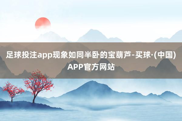 足球投注app现象如同半卧的宝葫芦-买球·(中国)APP官方网站