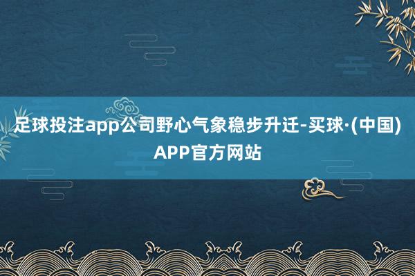 足球投注app公司野心气象稳步升迁-买球·(中国)APP官方网站