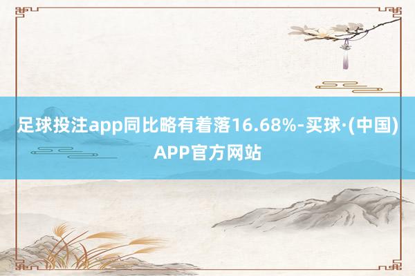 足球投注app同比略有着落16.68%-买球·(中国)APP官方网站