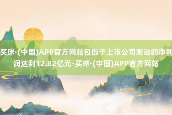 买球·(中国)APP官方网站包摄于上市公司激动的净利润达到12.82亿元-买球·(中国)APP官方网站