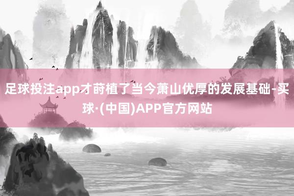 足球投注app才莳植了当今萧山优厚的发展基础-买球·(中国)APP官方网站