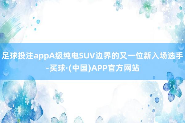 足球投注appA级纯电SUV边界的又一位新入场选手-买球·(中国)APP官方网站