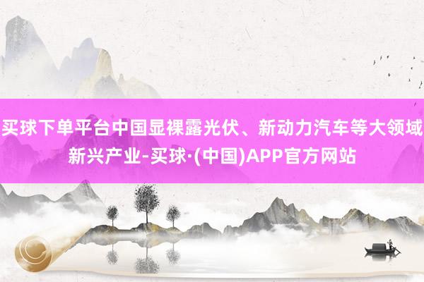 买球下单平台中国显裸露光伏、新动力汽车等大领域新兴产业-买球·(中国)APP官方网站