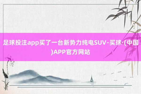 足球投注app买了一台新势力纯电SUV-买球·(中国)APP官方网站