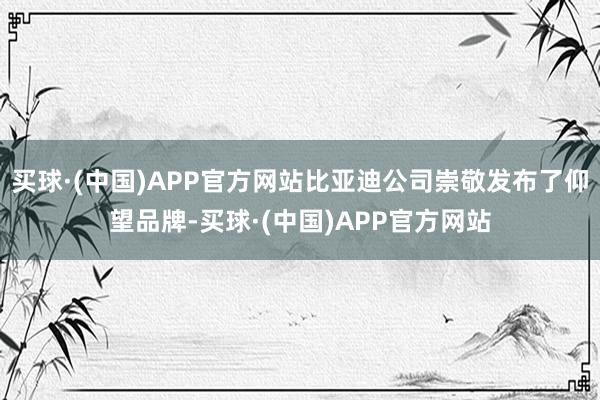 买球·(中国)APP官方网站比亚迪公司崇敬发布了仰望品牌-买球·(中国)APP官方网站