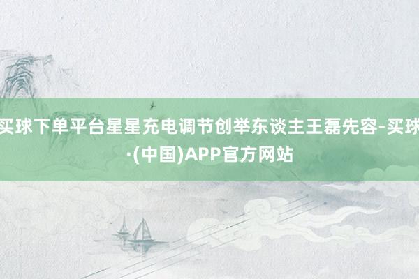 买球下单平台星星充电调节创举东谈主王磊先容-买球·(中国)APP官方网站