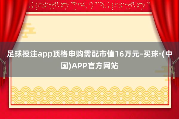 足球投注app顶格申购需配市值16万元-买球·(中国)APP官方网站