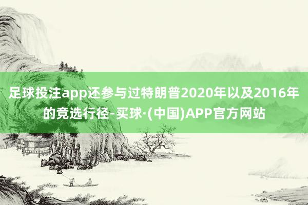 足球投注app还参与过特朗普2020年以及2016年的竞选行径-买球·(中国)APP官方网站