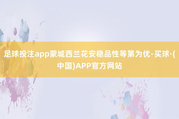 足球投注app蒙城西兰花安稳品性等第为优-买球·(中国)APP官方网站