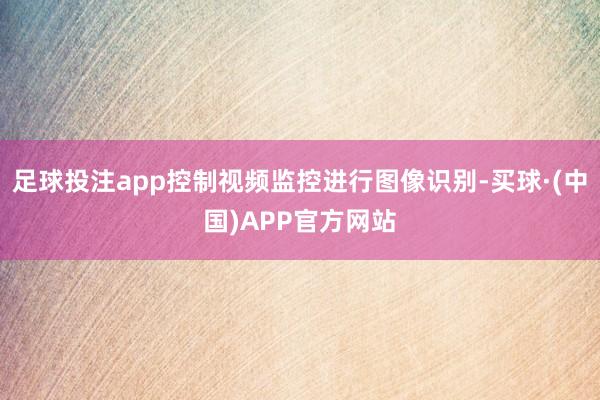 足球投注app控制视频监控进行图像识别-买球·(中国)APP官方网站