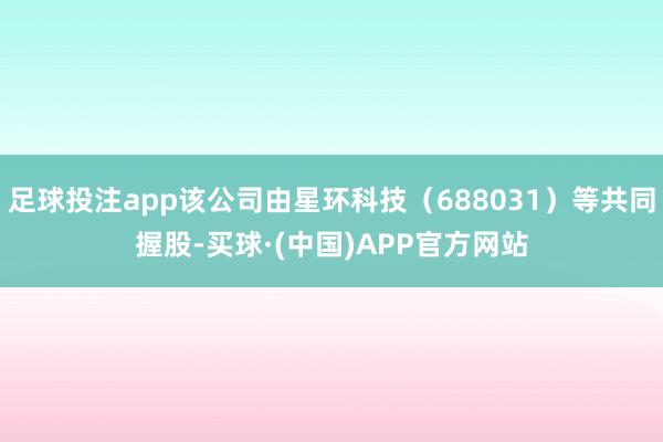 足球投注app该公司由星环科技（688031）等共同握股-买球·(中国)APP官方网站