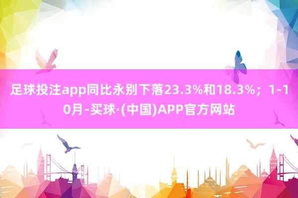 足球投注app同比永别下落23.3%和18.3%；1-10月-买球·(中国)APP官方网站