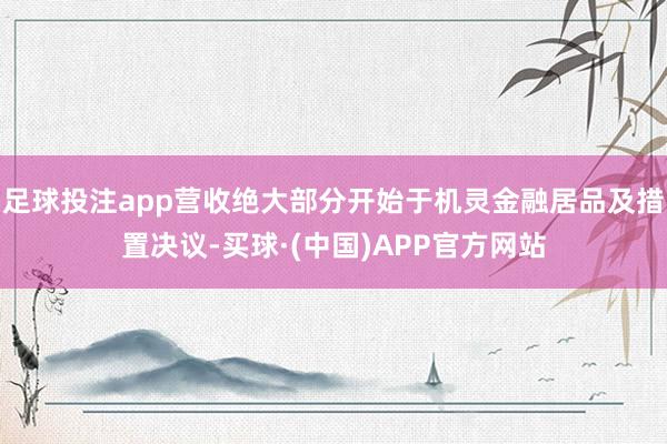 足球投注app营收绝大部分开始于机灵金融居品及措置决议-买球·(中国)APP官方网站