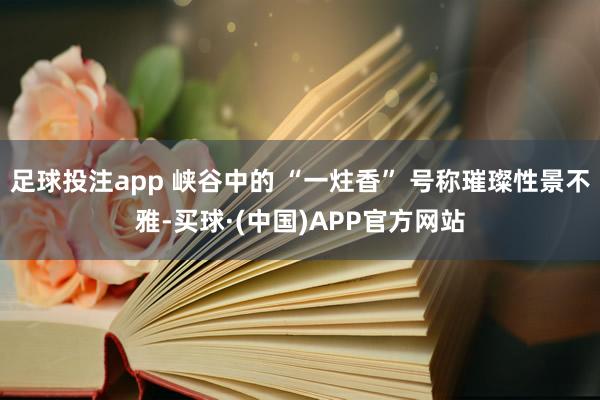 足球投注app 峡谷中的 “一炷香” 号称璀璨性景不雅-买球·(中国)APP官方网站