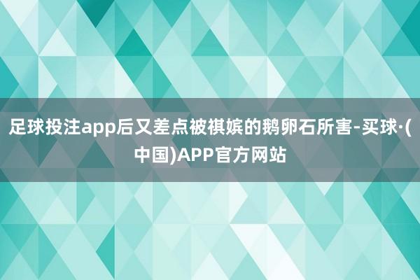 足球投注app后又差点被祺嫔的鹅卵石所害-买球·(中国)APP官方网站