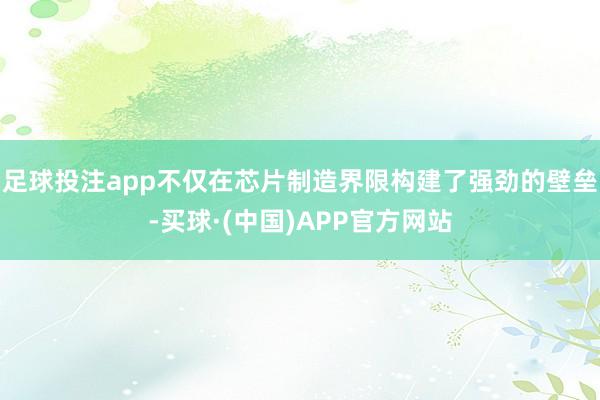 足球投注app不仅在芯片制造界限构建了强劲的壁垒-买球·(中国)APP官方网站