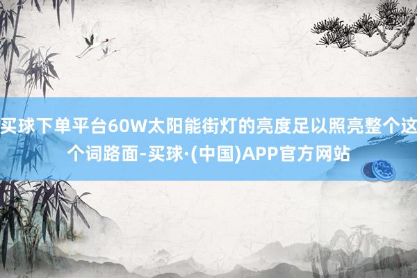 买球下单平台60W太阳能街灯的亮度足以照亮整个这个词路面-买球·(中国)APP官方网站