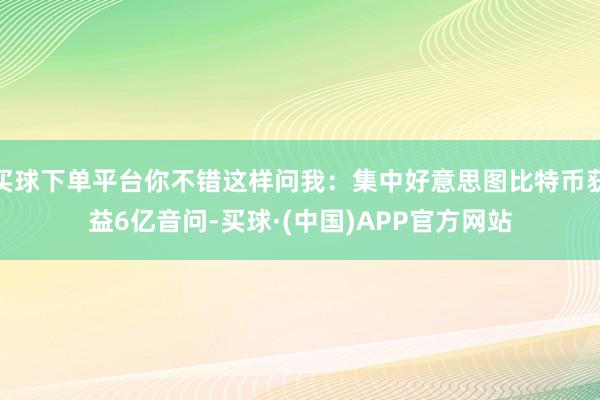 买球下单平台你不错这样问我：集中好意思图比特币获益6亿音问-买球·(中国)APP官方网站