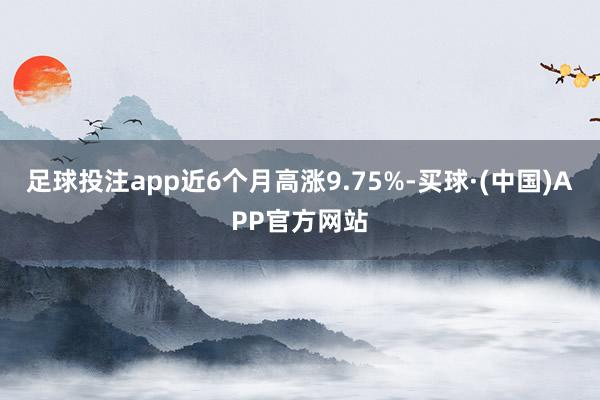 足球投注app近6个月高涨9.75%-买球·(中国)APP官方网站