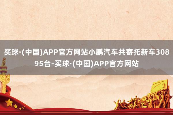 买球·(中国)APP官方网站小鹏汽车共寄托新车30895台-买球·(中国)APP官方网站