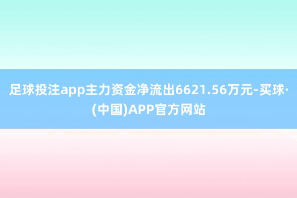 足球投注app主力资金净流出6621.56万元-买球·(中国)APP官方网站