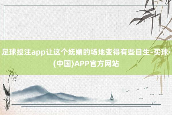 足球投注app让这个妩媚的场地变得有些目生-买球·(中国)APP官方网站