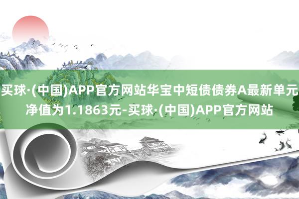 买球·(中国)APP官方网站华宝中短债债券A最新单元净值为1.1863元-买球·(中国)APP官方网站