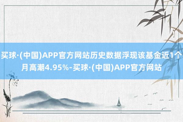 买球·(中国)APP官方网站历史数据浮现该基金近1个月高潮4.95%-买球·(中国)APP官方网站