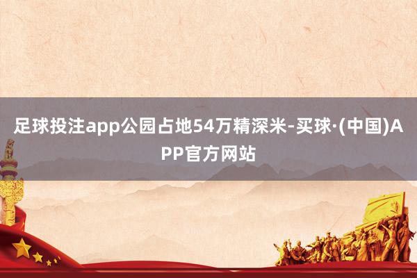 足球投注app公园占地54万精深米-买球·(中国)APP官方网站