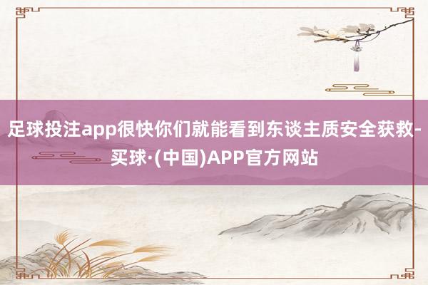 足球投注app很快你们就能看到东谈主质安全获救-买球·(中国)APP官方网站