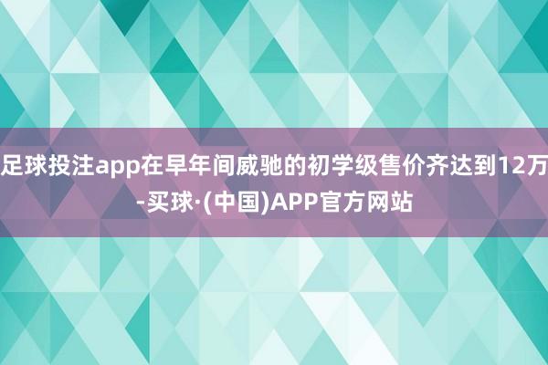 足球投注app在早年间威驰的初学级售价齐达到12万-买球·(中国)APP官方网站