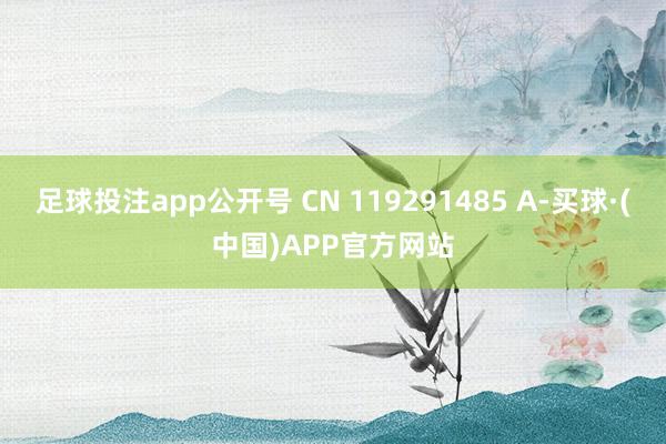 足球投注app公开号 CN 119291485 A-买球·(中国)APP官方网站