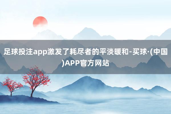 足球投注app激发了耗尽者的平淡暖和-买球·(中国)APP官方网站