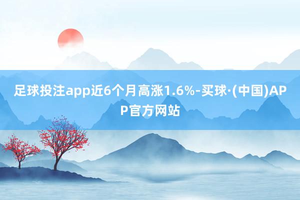 足球投注app近6个月高涨1.6%-买球·(中国)APP官方网站