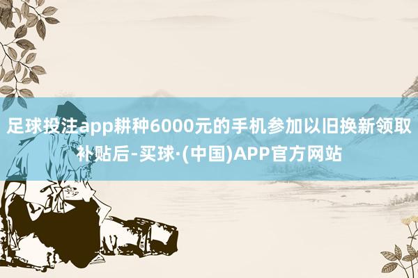 足球投注app耕种6000元的手机参加以旧换新领取补贴后-买球·(中国)APP官方网站