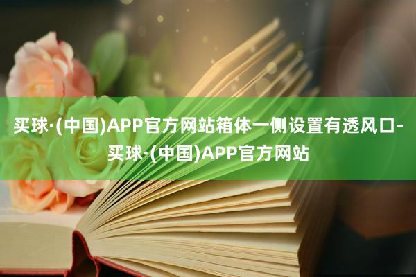 买球·(中国)APP官方网站箱体一侧设置有透风口-买球·(中国)APP官方网站