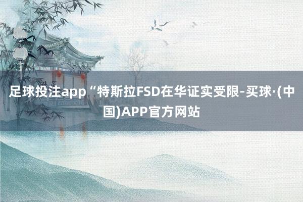 足球投注app“特斯拉FSD在华证实受限-买球·(中国)APP官方网站