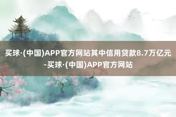 买球·(中国)APP官方网站其中信用贷款8.7万亿元-买球·(中国)APP官方网站