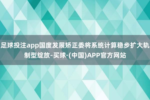 足球投注app国度发展矫正委将系统计算稳步扩大轨制型绽放-买球·(中国)APP官方网站