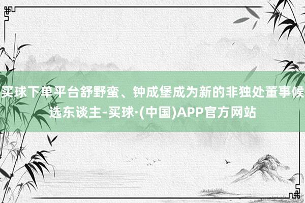 买球下单平台舒野蛮、钟成堡成为新的非独处董事候选东谈主-买球·(中国)APP官方网站