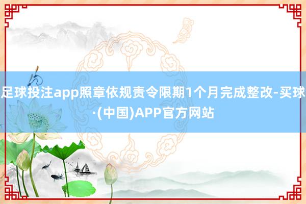 足球投注app照章依规责令限期1个月完成整改-买球·(中国)APP官方网站